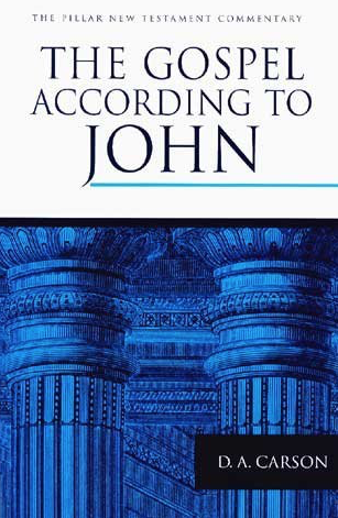 The Pillar New Testament Commentary : The Gospel according to John